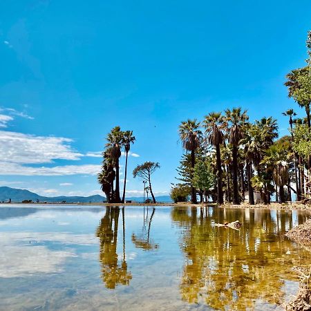 La Casa Del Riu Vell Villa Sant Jaume d’Enveja Kültér fotó
